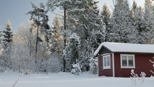 5 rzeczy, które warto zrobić zimą w Norwegii