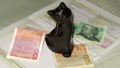 Kot dochodowy Bonifacy nowym ekspertem podatkowym portalu MojaNorwegia!