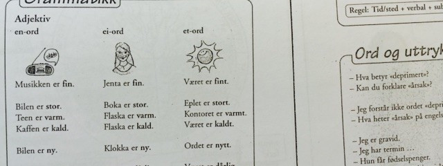 Książki do nauki norweskiego