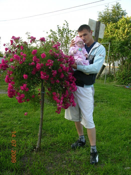 Piotr Młody (Piter07), Oslo, Gdańsk 