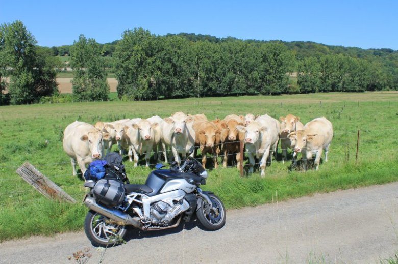 motoloco (Lukasz C)