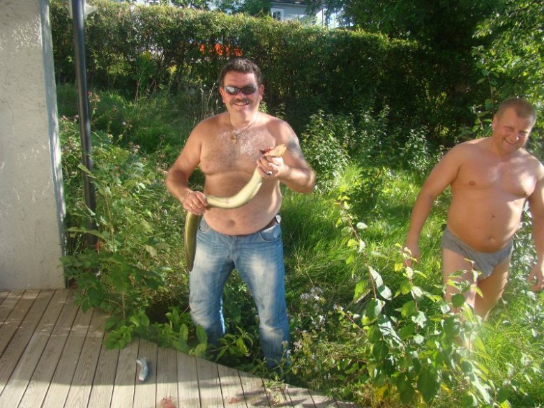DARIUSZ PSTRAGOWSKI (unidar), Skien, Kostrzyn Nad Odrą