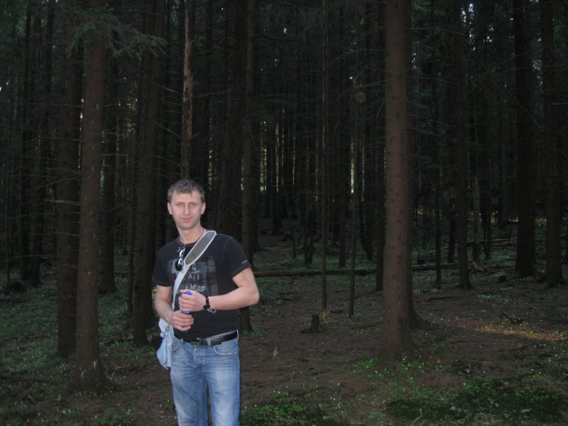 Na grzyby