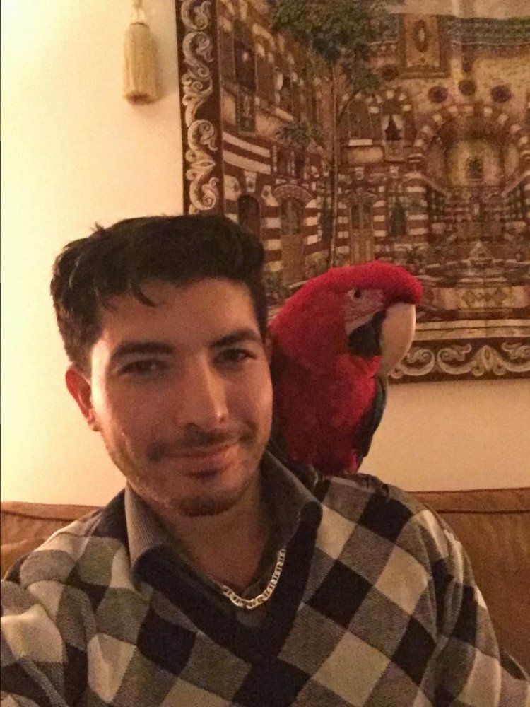 jamal1 