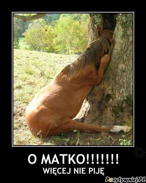 Piotrwojtas Xxxx