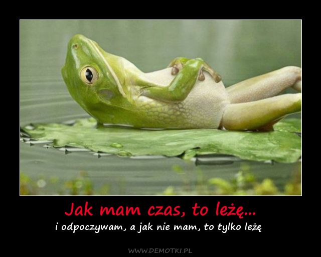 arek arek