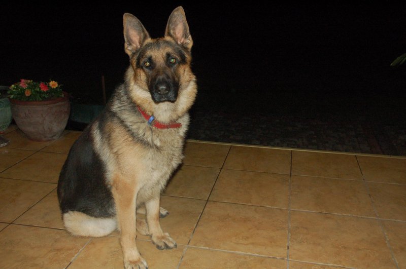 Ares