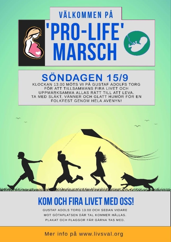 MarekJKPG Lans