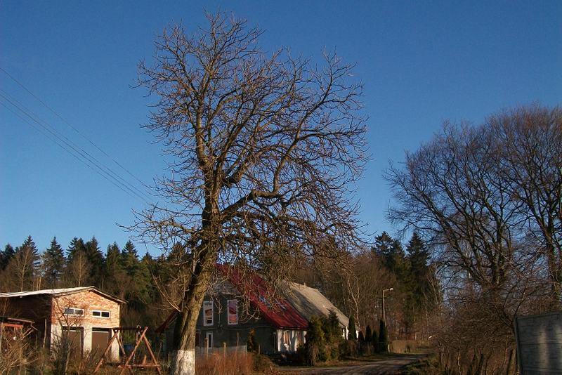 Moja wieś