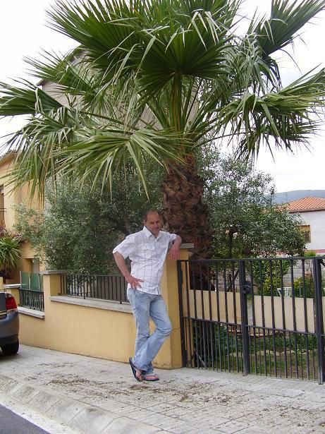 Robert Witko
