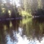 grzegorz.wojtas6@wp.pl 
