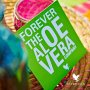 ForeverFBO Aloe