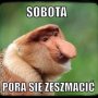 Emiljanoox 