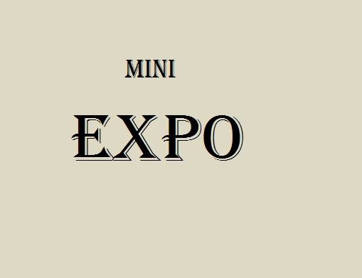 Mini Expo "Poznajmy się bliżej" - minitargi przedsiębiorców w Sandnes