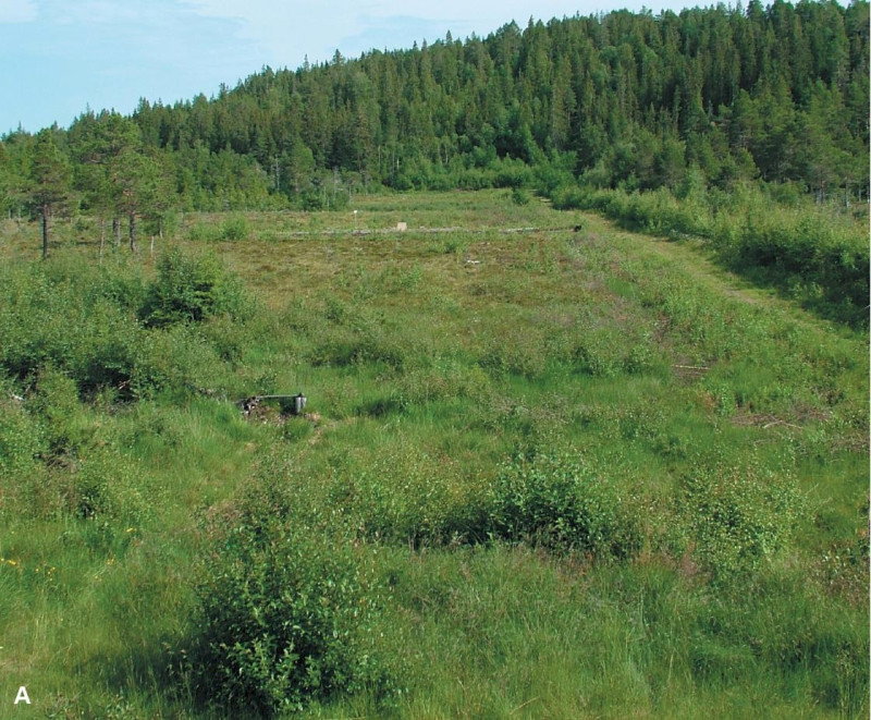 Na zdjęciu: pozostałości po strzelnicy Banemyra, przez którą biegnie St. Olavsleden.