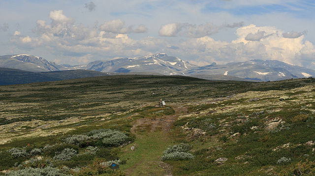Krajobraz Dovrefjell