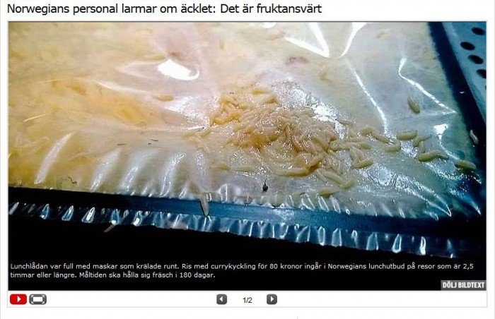 robaki w jedzeniu