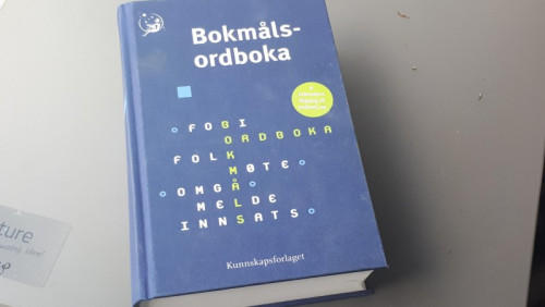 Tysiące definicji, przykłady i odmiana – te norweskie słowniki wato znać