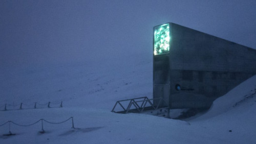 Niezniszczalna baza danych schowana w arktycznej lodówce: na Svalbardzie przetrwa 1000 lat