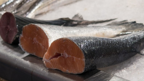 Najlepsze półrocze w historii: importerzy jeszcze nigdy nie kupili aż tylu ryb z kraju fiordów