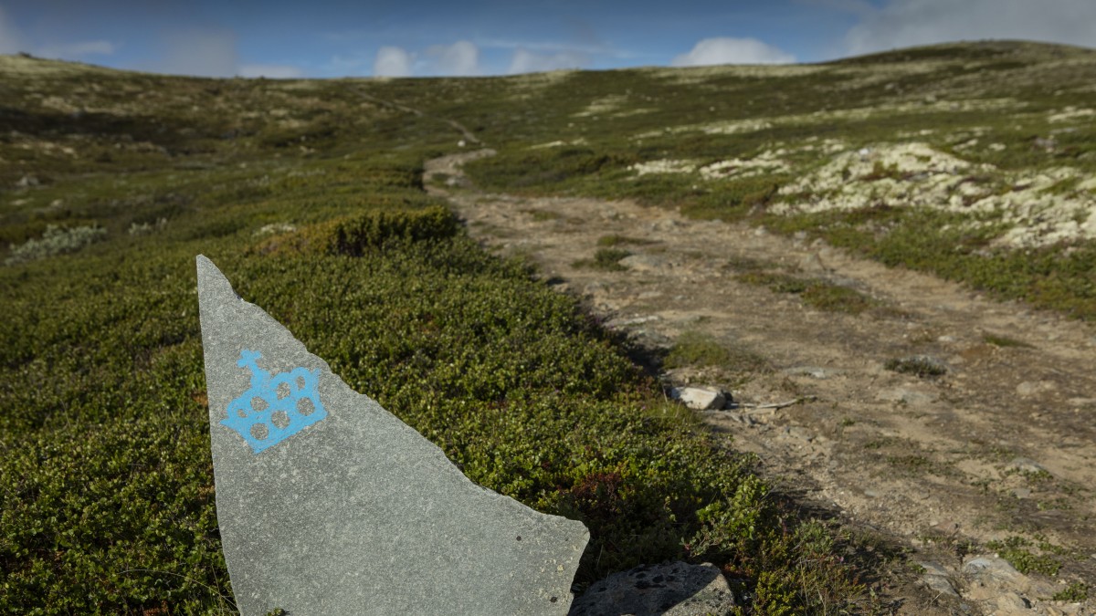 Szlakiem norweskich królów: trasa górska z Oppdal do Dovre otwarta dla turystów