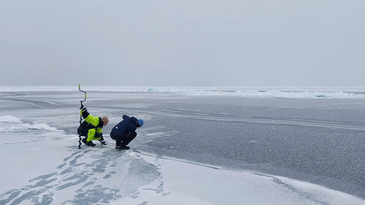 Arktyka traci lód w szybkim tempie. Naukowcy mówią o jednym z najniższych poziomów w historii
