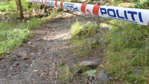 Zwierzęce głowy zawieszone na drzewach i martwe owce w lesie w Vestfold. Policja: „To mógł być obrządek złożenia ofiary”