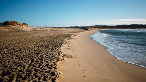 Dziś rozpoczyna się tydzień sprzątania plaż. Udział wezmą tysiące wolontariuszy