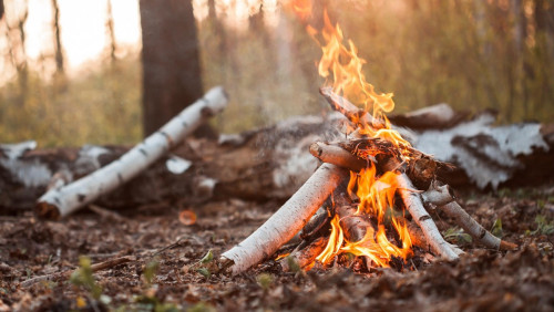 Wrócił sezon na rozpalanie ognisk w Norwegii: zniesiono zakaz
