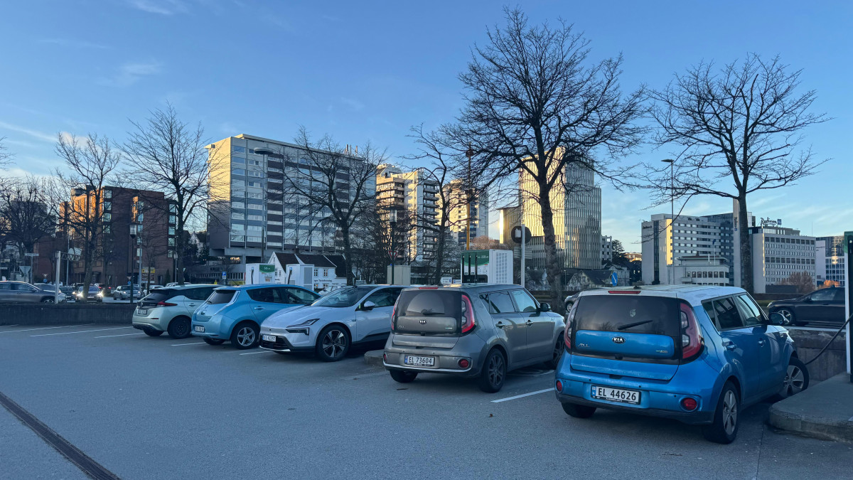 Poradniki