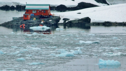 Internet na Arktyce: rząd zadba o to osobiście