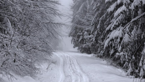 Do Norwegii przyjdzie prawdziwa zima? W tych miejscach sypnie śniegiem w Boże Narodzenie