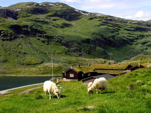 aurlandsdalen1_steinbergdalen_turisthytte_ute.jpg