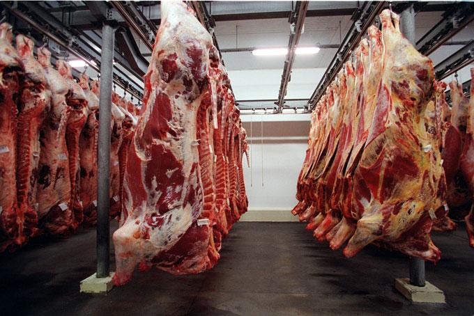 Rzeźnia sprzedaje przeterminowane mięso 
