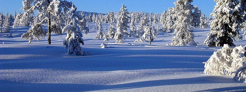 Jak przetrwać norweską zimę i nie zwariować