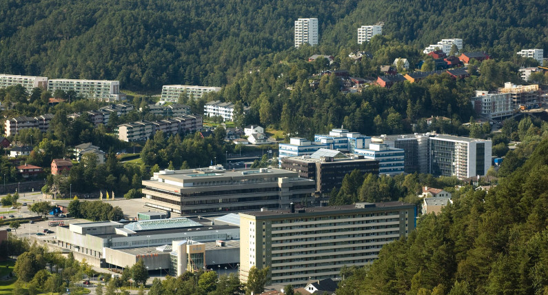 Sceny jak z filmu w Bergen. Nieznany sprawca ostrzelał dwa autobusy