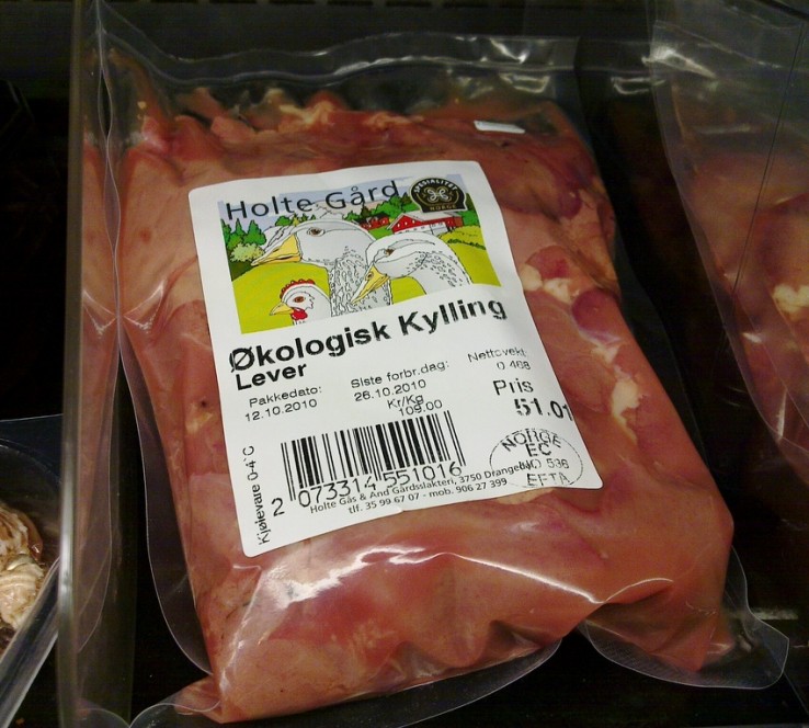 Ekologiczny kurczak żyje
