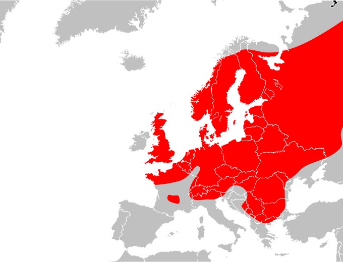 Zasięg występowania żmii zygzakowatej w Europie Zasięg występowania żmii zygzakowatej w Europie