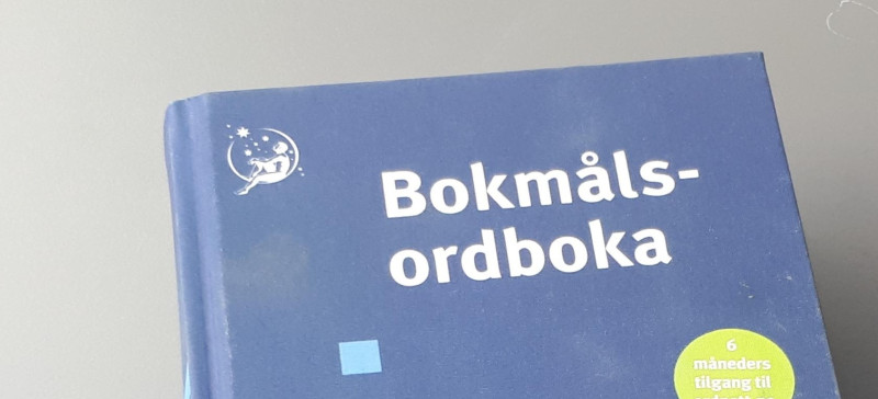 Hen będzie częścią leksyki zarówno w bokmålu, jak i w nynorsku. 