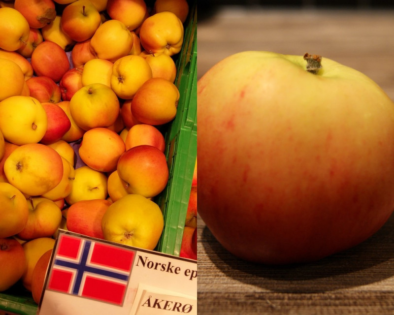 Jabłka z rodzaju Årerø nadają się do wykorzystania w cieście.
