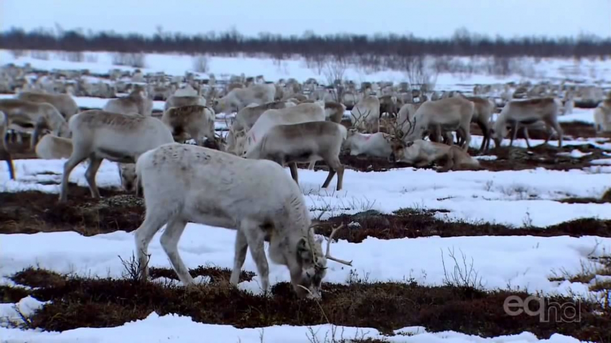 Norway Documentary I Have Seen the Earth Change
