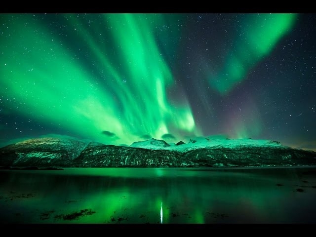 Norwegian Dream - The Green Children