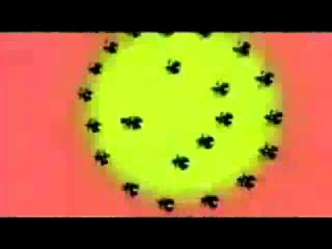 Luke Vibert - I Love Acid