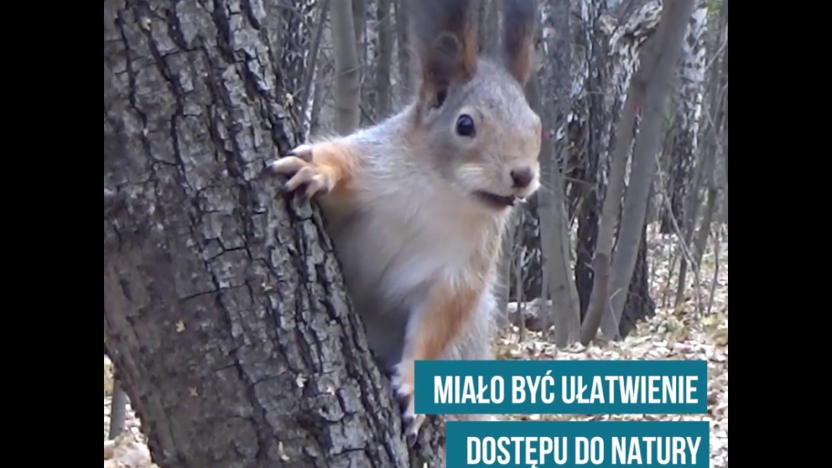 Friluftsliv – narodowa aktywność Norwegów