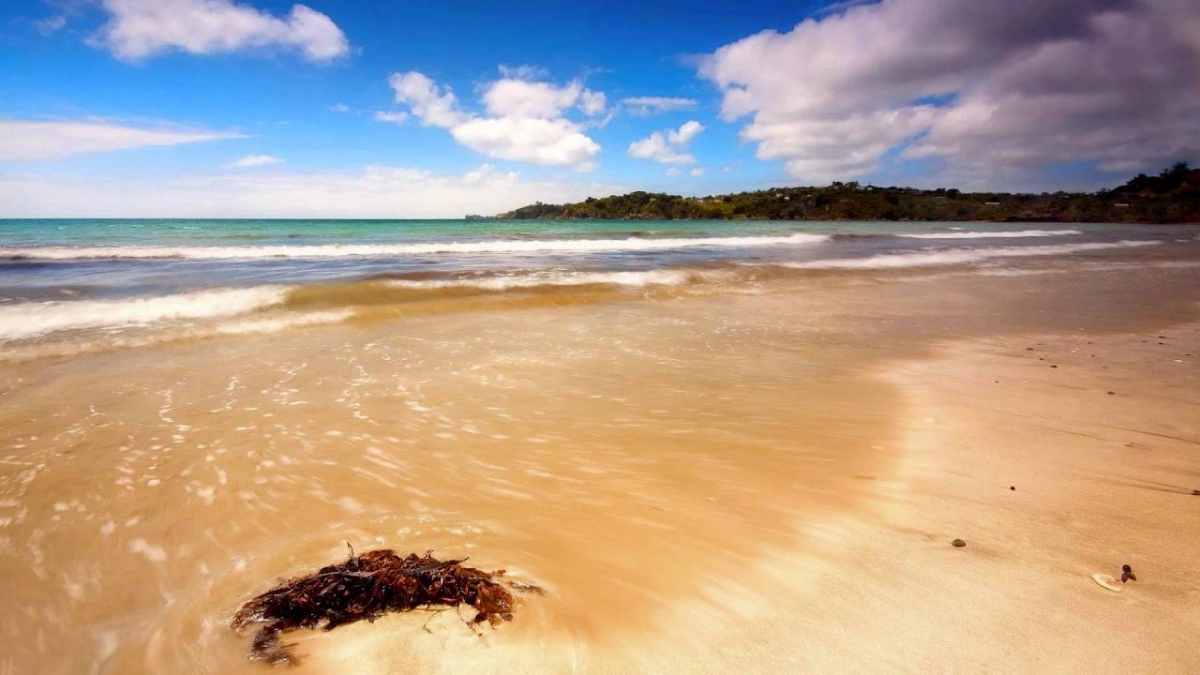 DJ Shah - Balearic Feeling (Chillout Mix)