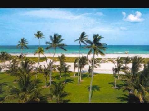 Roisin Murphy Dear Miami
