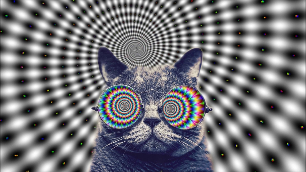 Trippy Cat 2017 MINIMAL HOUSE ELECTRO [ Coronita 2017 Minimal After Megamix ]