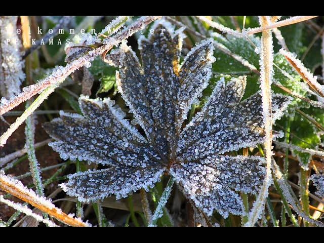 Winter i Norge