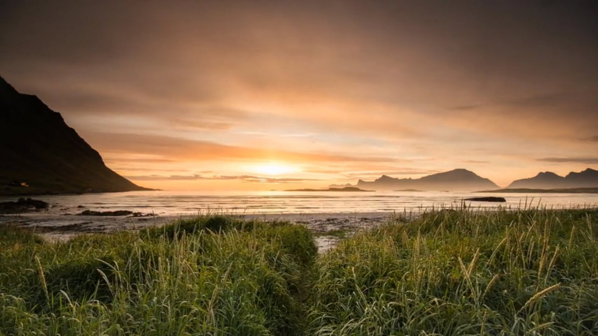 Lofoten Summer