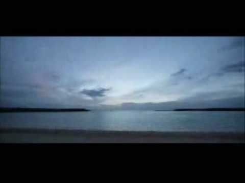 Reflekt Feat Delline Bass - Need To Feel Loved ( Adam K & Soha Vocal mix )